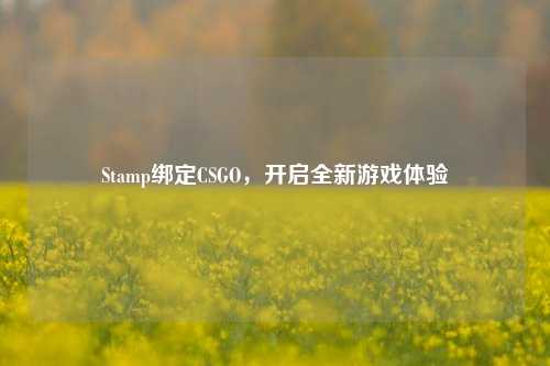 Stamp绑定CSGO,开启全新游戏体验