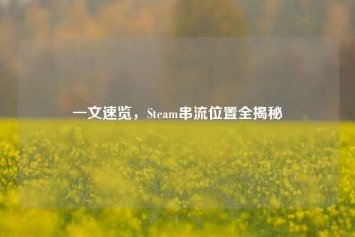 一文速览,Steam串流位置全揭秘