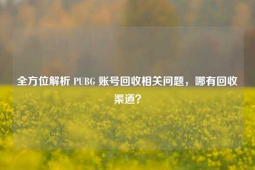全方位解析 PUBG 账号回收相关问题,哪有回收渠道?