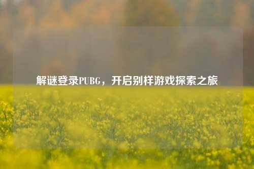 解谜登录PUBG，开启别样游戏探索之旅