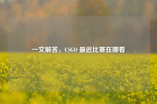一文解答,CSGO 最近比赛在哪看
