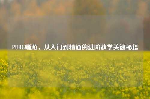 PUBG端游,从入门到精通的进阶教学关键秘籍