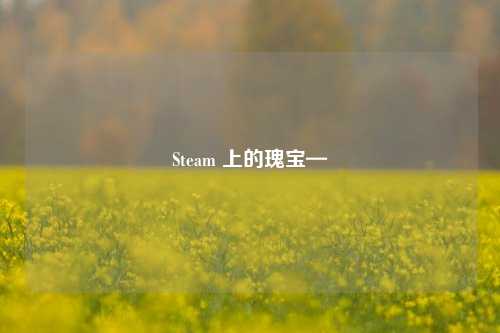 Steam 上的瑰宝—