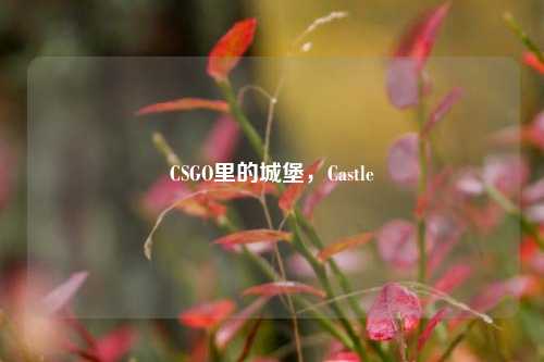 CSGO里的城堡,Castle