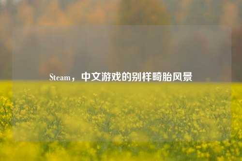 Steam,中文游戏的别样畸胎风景