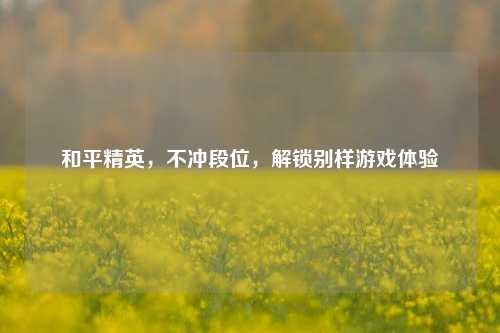 和平精英,不冲段位,解锁别样游戏体验