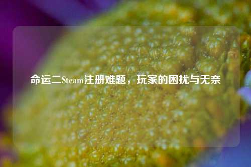 命运二Steam注册难题，玩家的困扰与无奈