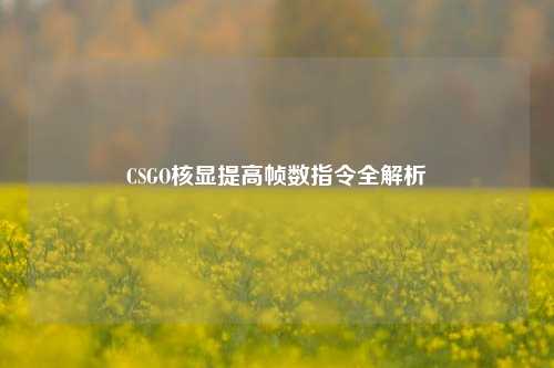 CSGO核显提高帧数指令全解析