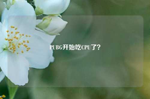 PUBG开始吃CPU了?