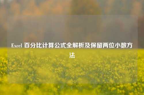 Excel 百分比计算公式全解析及保留两位小数 ***