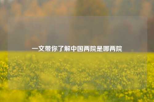 一文带你了解中国两院是哪两院
