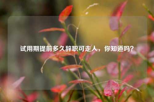 试用期提前多久辞职可走人,你知道吗?