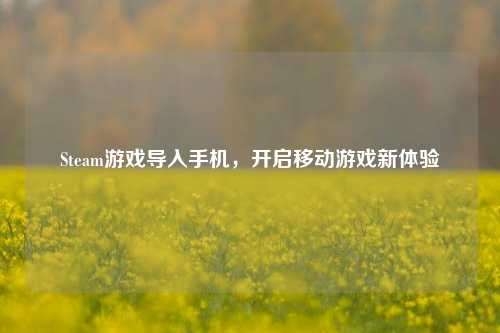 Steam游戏导入手机,开启移动游戏新体验