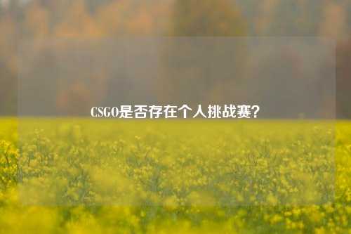 CSGO是否存在个人挑战赛?