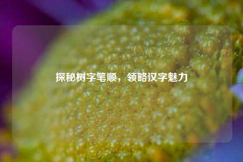 探秘树字笔顺,领略汉字魅力