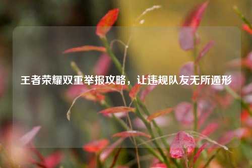 王者荣耀双重举报攻略,让违规队友无所遁形