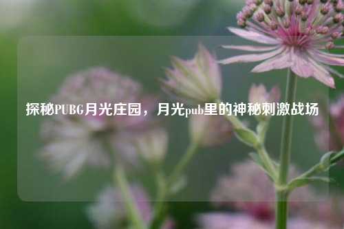 探秘PUBG月光庄园,月光pub里的神秘***战场