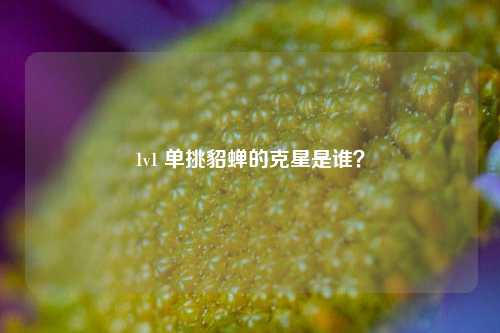 1v1 单挑貂蝉的克星是谁?