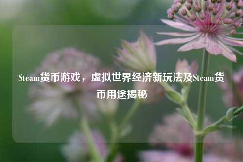 Steam货币游戏,虚拟世界经济新玩法及Steam货币用途揭秘