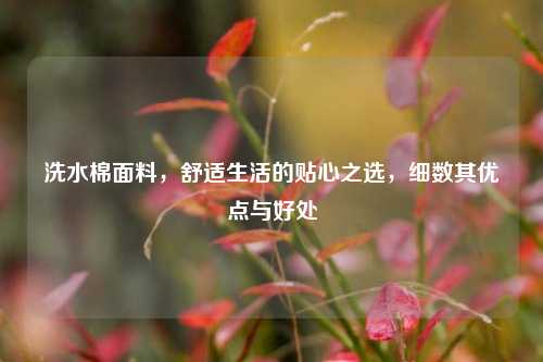 洗水棉面料,舒适生活的贴心之选,细数其优点与好处