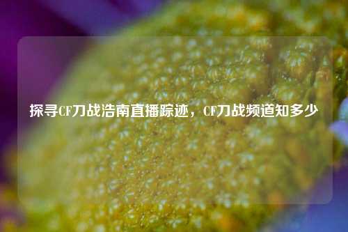 探寻CF刀战浩南直播踪迹,CF刀战频道知多少