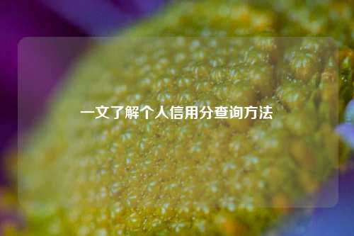 一文了解个人信用分查询 ***