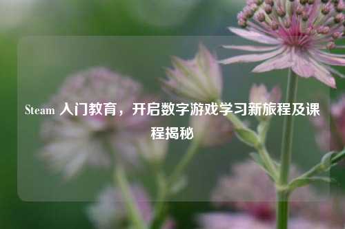 Steam 入门教育,开启数字游戏学习新旅程及课程揭秘