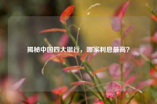 揭秘中国四大银行,哪家利息更高?