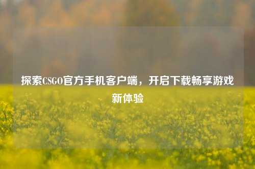 探索CSGO官方手机客户端,开启下载畅享游戏新体验