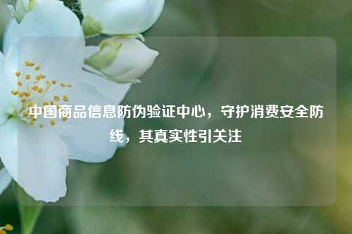 中国商品信息防伪验证中心,守护消费安全防线,其真实性引关注