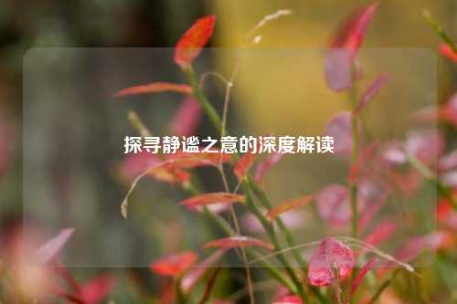 探寻静谧之意的深度解读