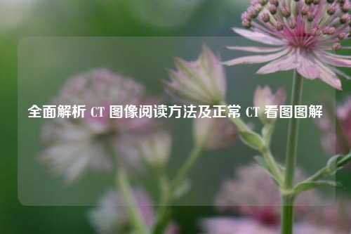 全面解析 CT 图像阅读 *** 及正常 CT 看图图解