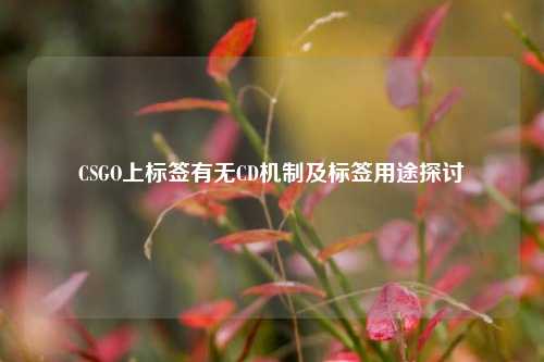 CSGO上标签有无CD机制及标签用途探讨