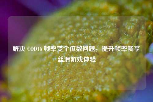 解决 COD16 帧率变个位数问题,提升帧率畅享丝滑游戏体验