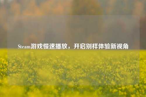 Steam游戏慢速播放,开启别样体验新视角