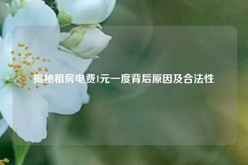 揭秘租房电费1元一度背后原因及合法性