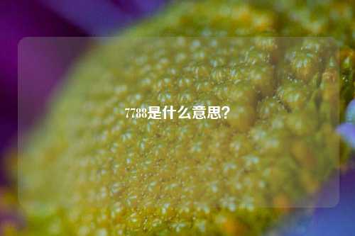 7788是什么意思?