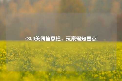 CSGO关闭信息栏,玩家需知要点