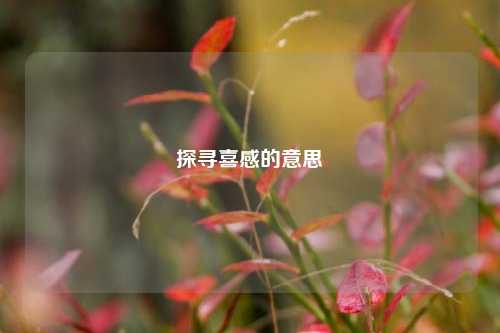 探寻喜感的意思
