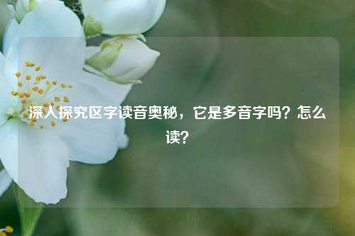 深入探究区字读音奥秘,它是多音字吗?怎么读?