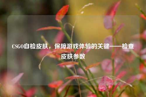 CSGO自检皮肤,保障游戏体验的关键——检查皮肤参数