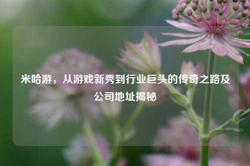 米哈游,从游戏新秀到行业巨头的传奇之路及公司地址揭秘