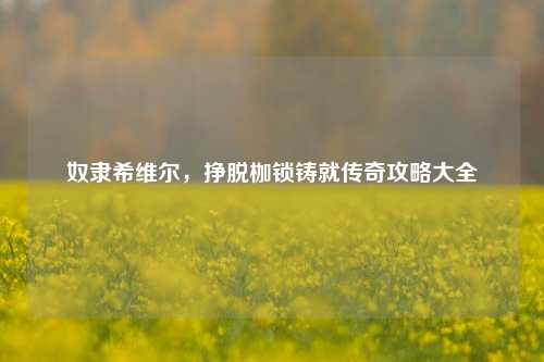 奴隶希维尔,挣脱枷锁铸就传奇攻略大全