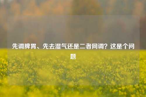 先调脾胃、先去湿气还是二者同调?这是个问题