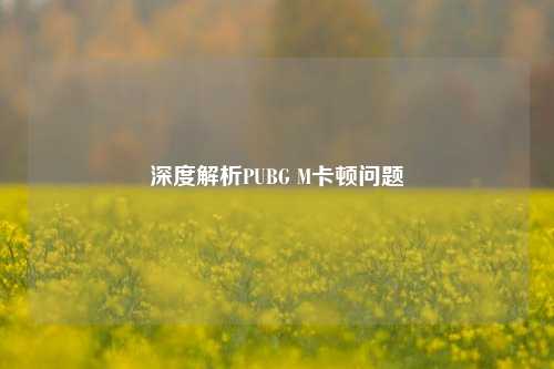 深度解析PUBG M卡顿问题