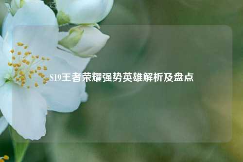 S19王者荣耀强势英雄解析及盘点