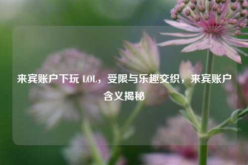 来宾账户下玩 LOL,受限与乐趣交织,来宾账户含义揭秘