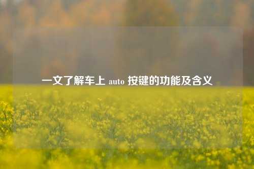 一文了解车上 auto 按键的功能及含义