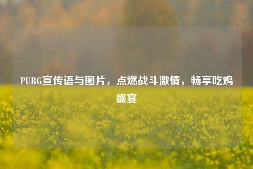 PUBG宣传语与图片,点燃战斗***,畅享吃鸡盛宴