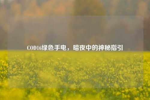 COD16绿色手电,暗夜中的神秘指引